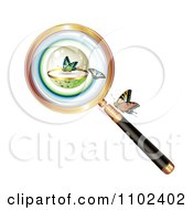 Clipart Magnifying Glass And Butterflies 1 Royalty Free Vector Illustration by merlinul