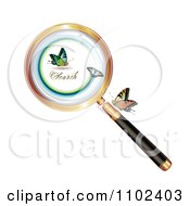 Clipart Magnifying Glass And Butterflies 2 Royalty Free Vector Illustration