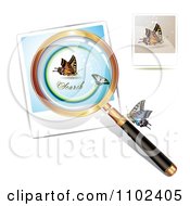 Clipart Magnifying Glass And Butterflies 5 Royalty Free Vector Illustration