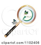 Clipart Magnifying Glass And Butterflies 4 Royalty Free Vector Illustration