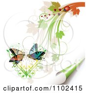 Poster, Art Print Of Butterfly Pair Over A Vine Heart With Foliage A Ladybug And Turning Page