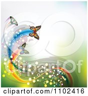 Poster, Art Print Of Butterflies With Magical Trails And Copyspace