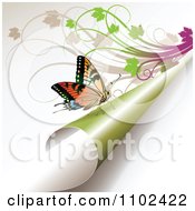 Poster, Art Print Of Butterfly On A Turning Green Page 3