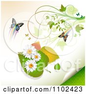 Poster, Art Print Of Butterfly Daisy And Leaf Background 1