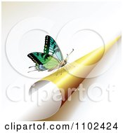 Poster, Art Print Of Butterfly On A Turning Yellow Page 2