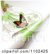 Poster, Art Print Of Butterfly On A Turning Green Page 2