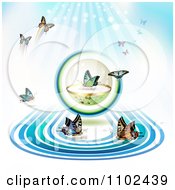 Poster, Art Print Of Butterfly Conservation Sphere Background