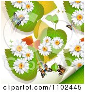 Poster, Art Print Of Butterfly Daisy And Leaf Background 3