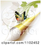 Poster, Art Print Of Butterfly On A Turning Yellow Page 1