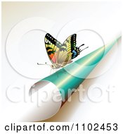 Poster, Art Print Of Butterfly On A Turning Turquoise Page