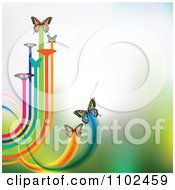 Poster, Art Print Of Butterfly Trail Background 1