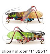 Poster, Art Print Of Colorful Locusts