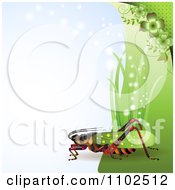 Poster, Art Print Of Locust Cricket Or Grasshopper With Grass And Clovers On Blue