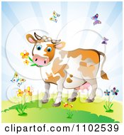 Poster, Art Print Of Cow Eating Flowers And Surrounded By Butterflies