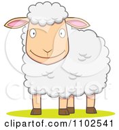 Poster, Art Print Of Happy White Sheep Smiling