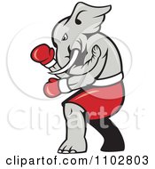 Republican Elephant Boxer