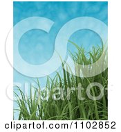 3d Green Grass Blades Against A Sky With Faint Clouds