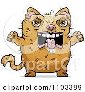 Angry Ugly Cat