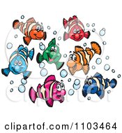 Poster, Art Print Of Happy Colorful Clownfish With Bubbles
