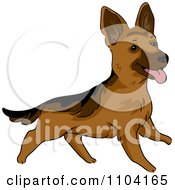 Poster, Art Print Of Happy Playful German Shepherd Dog