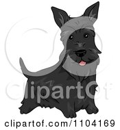 Poster, Art Print Of Happy Black Scottish Terrier Dog