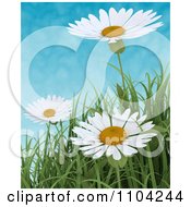 Poster, Art Print Of 3d White Daisies And Blades Of Grass Against A Cloudy Sky