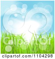 Poster, Art Print Of Blue Spring Sky And Grass Background With Flares Of Light