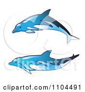 Poster, Art Print Of Blue Dolphins