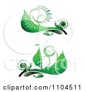 Poster, Art Print Of Ornate Swirl Leaves And Snails Design Elements 2