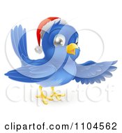 Poster, Art Print Of Happy Christmas Blue Bird Wearing A Santa Hat And Presenting