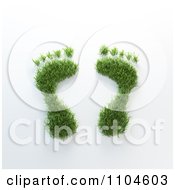 3d Grassy Foot Prints