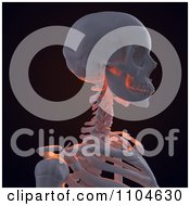 Poster, Art Print Of 3d Human Skeleton Featuring The Shoulder Neck And Skull
