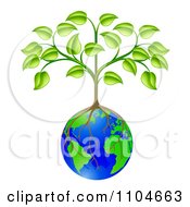 Sapling Tree Growing Roots Over A Globe
