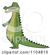 Poster, Art Print Of Gator Standing In Profile With His Hands Fisted