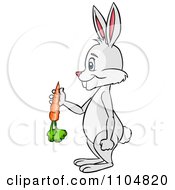 Clipart Happy Rabbit Holding A Carrot And Standing Upright In Profile Royalty Free Vector Illustration by Cartoon Solutions