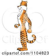 Clipart Happy Tiger In Profile Standing Upright Royalty Free Vector Illustration by Cartoon Solutions