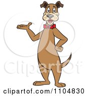 Happy Brown Dog Standing Upright And Presenting