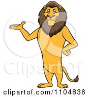 Happy Male Lion Presenting And Standing Upright