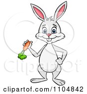 Clipart Happy Rabbit Holding A Carrot And Standing Upright Royalty Free Vector Illustration by Cartoon Solutions