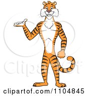 Clipart Happy Tiger Presenting And Standing Upright Royalty Free Vector Illustration by Cartoon Solutions #COLLC1104845-0176