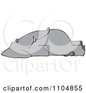 Clipart Dead Elephant On Its Back Royalty Free Vector Illustration