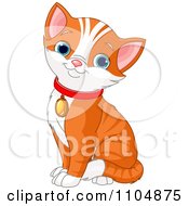 Clipart Happy Cute Orange Tabby Kitten Sitting With A Red Collar Royalty Free Vector Illustration
