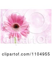 Poster, Art Print Of Pink Daisy Flower Over Sparkles With Copyspace