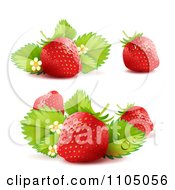 Poster, Art Print Of Three Strawberries With Blossoms And Leaves
