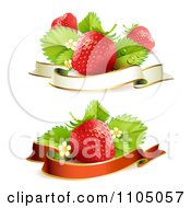 Poster, Art Print Of Red Strawberries With Leaves Blossoms And Blank Banners