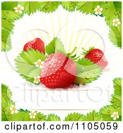 Poster, Art Print Of Strawberry Background With Leaves Blossoms And Copyspace 1