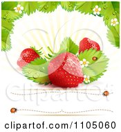 Poster, Art Print Of Strawberry Background With Leaves Blossoms And Copyspace 2