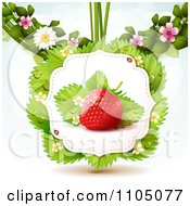 Poster, Art Print Of Strawberry With Dewy Leaves Blossoms And Twine On White