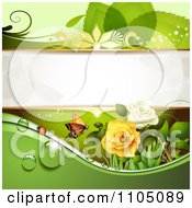 Clipart Green Leaf Background With A Ladybug Butterfly Dew And Roses Royalty Free Vector Illustration by merlinul