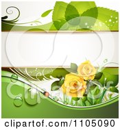 Clipart Green Leaf Background With A Ladybug Dew And Roses Royalty Free Vector Illustration